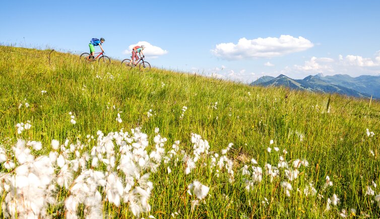 Kitzbühel und Umgebung