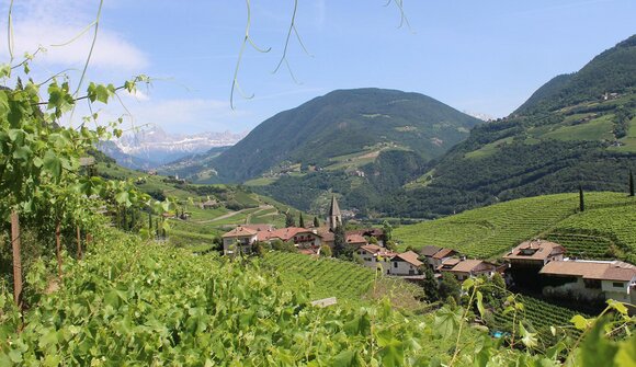 Besichtigung und Verkostung: Eberlehof