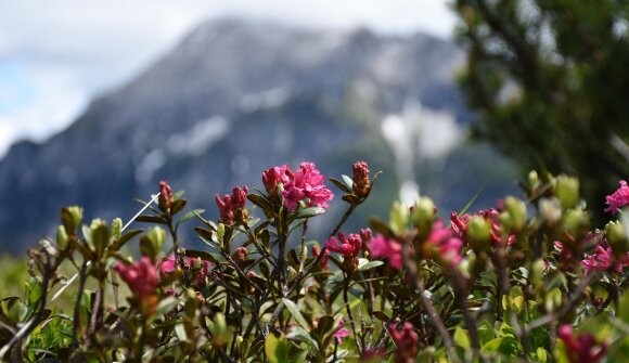 Escursione: Parco naturale Monte Corno