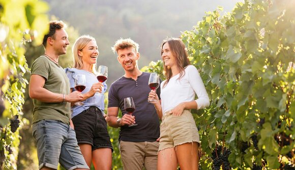 Serata d’estate al Vigneto Hillepranter