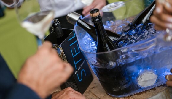 Vigneto & Tecnologia – Vigneto Geier