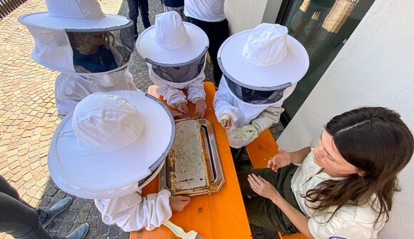 "Von der Biene zum Honig"