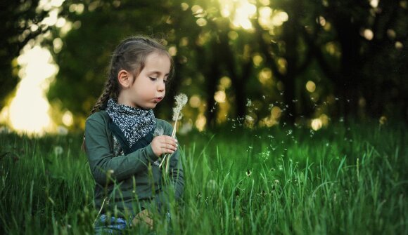 Alberi amici dei bambini
