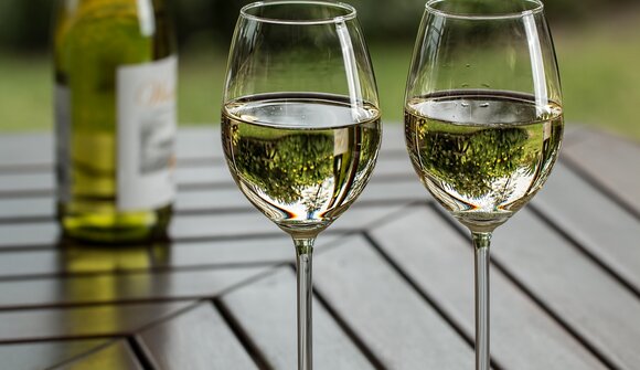 Degustazione di vini e altro ancora