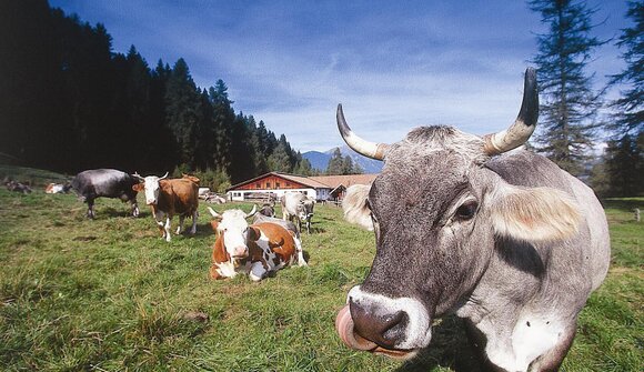 Fauna & Flora del Parco Naturale