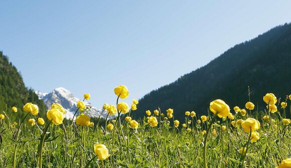 Escursione: Parco Nazionale Stelvio