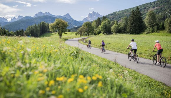 E-bike Dolomites Highlight tour