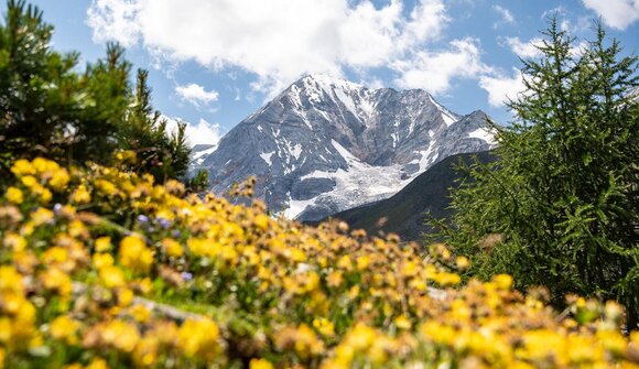 Escursione guidata: Rifugio Sesvenna