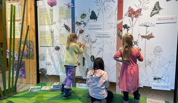 Daksys Naturwerkstatt im Naturparkhaus