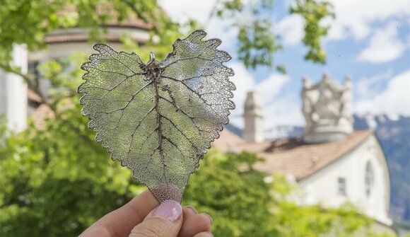 Merano Flower Festival: Flower Quiz