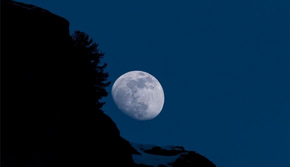 La natura sotto la luna piena