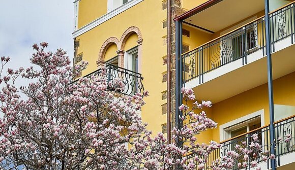 Visita guidata: Giardino Martinsbrunn