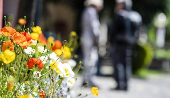 Gardenflair Livemusic: Cabriolet