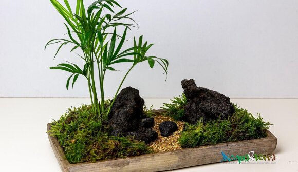 Merano Flower Festival - Moss Zen Art