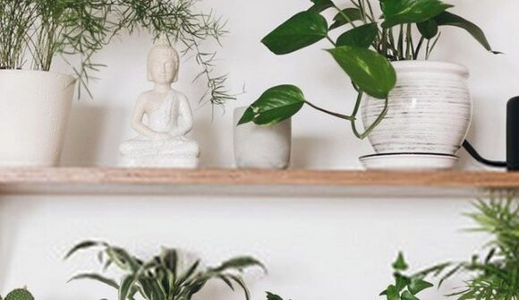 Merano Flower Festival - Green Feng Shui