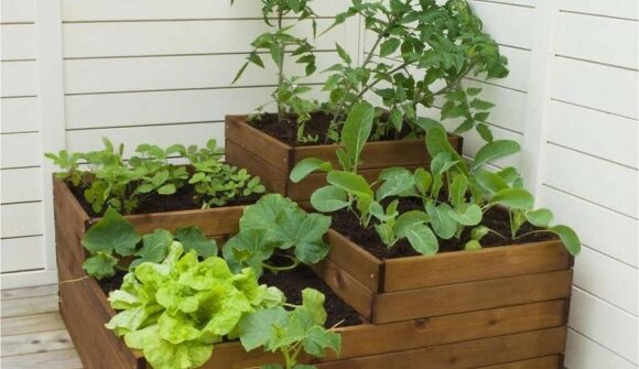 Merano Flower Festival - orto da balcone