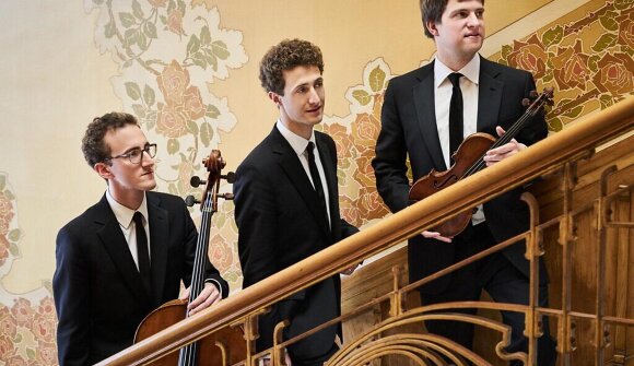 Konzert Musik Meran: Busch Trio