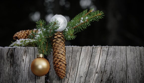 Pankrazer Waldadvent