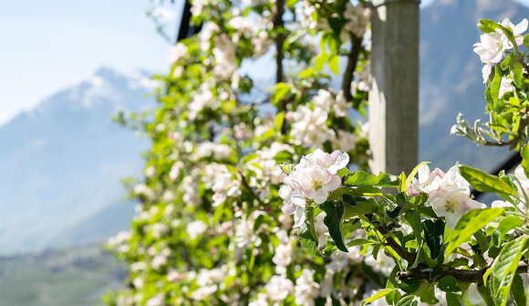 Schenner Langes | Generation Farmfluence