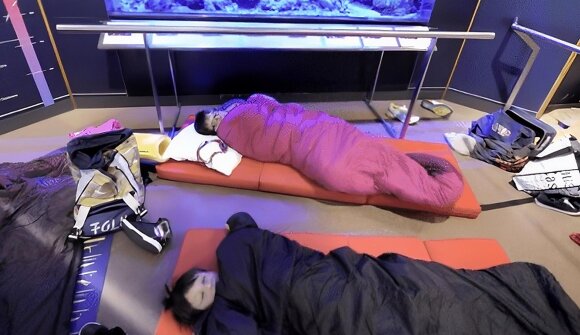 Eine Nacht im Naturmuseum für Kinder