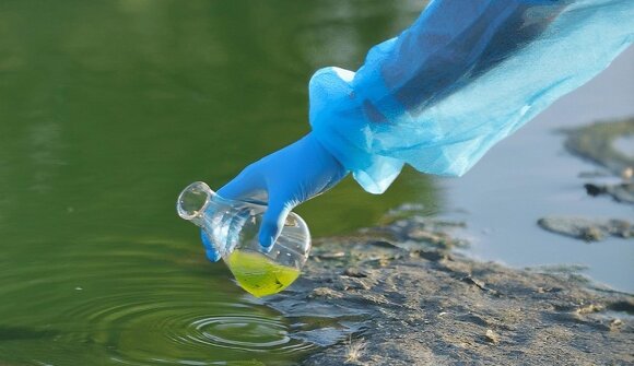 Delitto al Museo - acque torbide