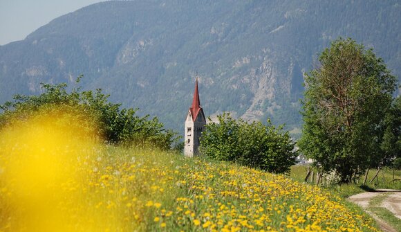 Wanderung durch Geschichte und Ansitze