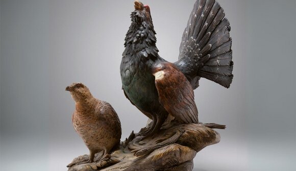 Esposizione "Nosc uciei"