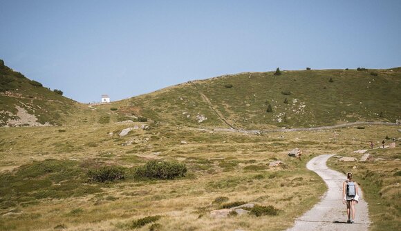 Guided hike on the alps of Villandro