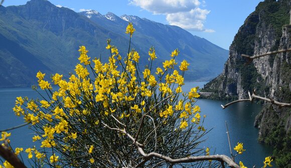 Dalle Dolomiti al Garda in Bus