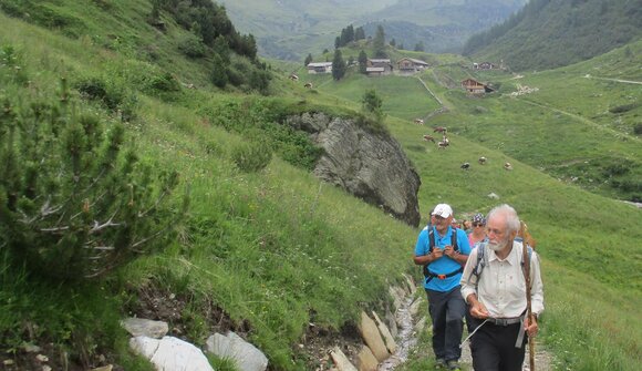 Bluehende Bergwiesen | Wanderung