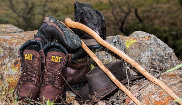 Trekking a Malga Stabio