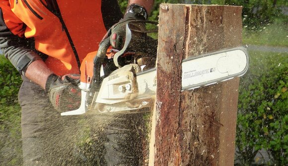 Festa dell'anniversario