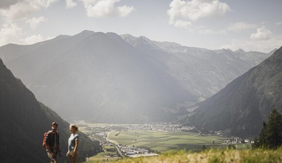 Migratory birds on their journey