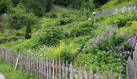 Gesundheit kommt nicht von ungefähr