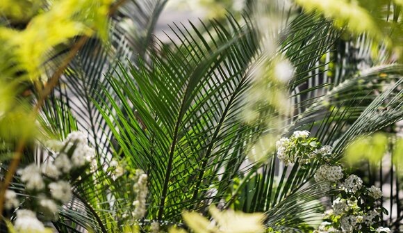 Visita: Giardino privato Villa Tivoli