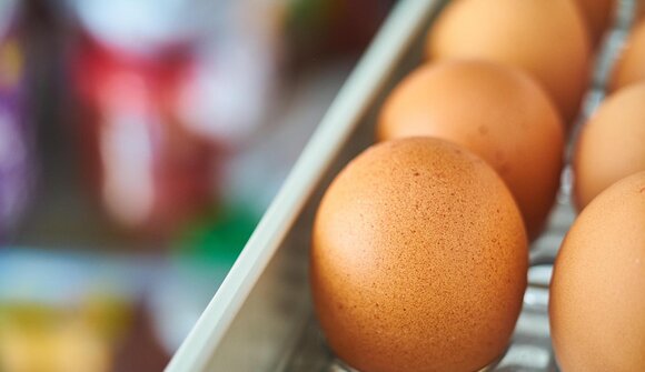Workshop: Rezepte zum Reste aufbrauchen
