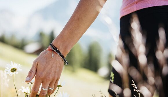 Hike through the healing herbs