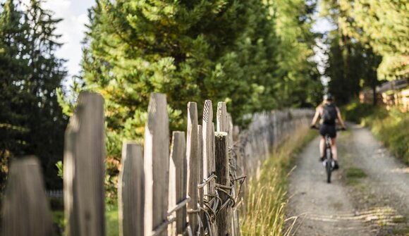 Slow Bike - e-bike