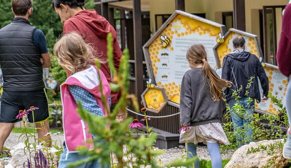 The fantastic wold of bees