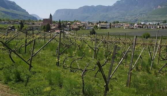 Autunno gourmet: Degustazione serale