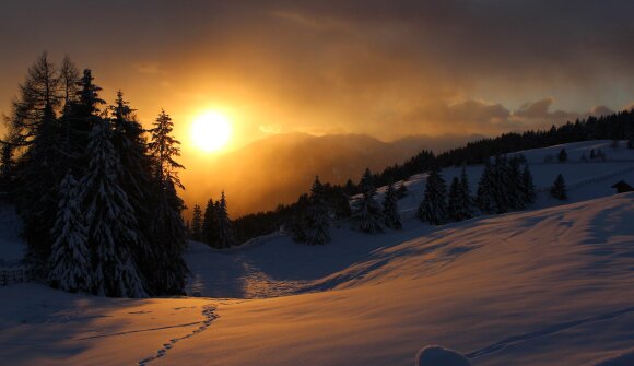 Mondschein & Winterluft