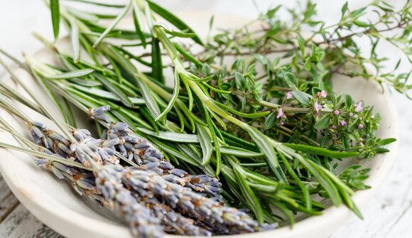 MidsummerDays con delizie alle erbe