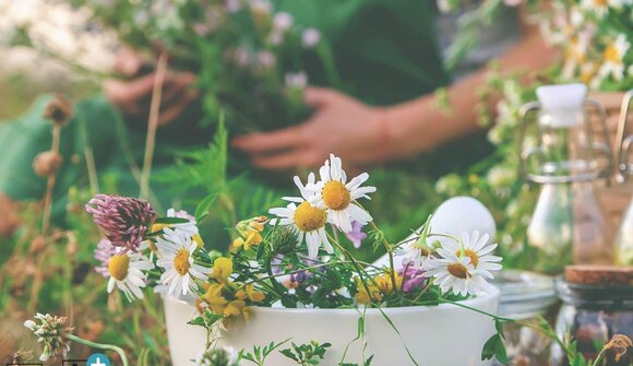 The power of early wild herbs