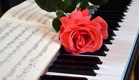 South of South Tyrol