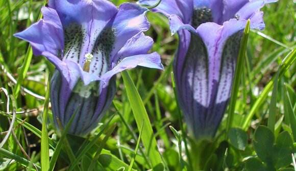 Frühlingswanderung im Nationalpark