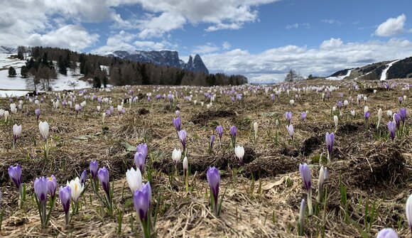 Spring hike with Michaela Prister