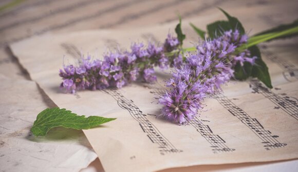 Konzert "Just sing it"