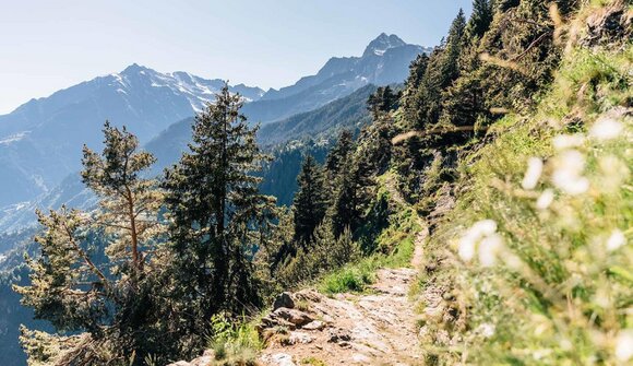 Gästewanderung: Nörderberger Almenrunde