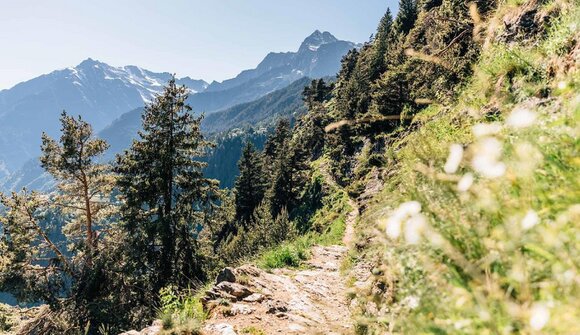 Geführte Gästewanderung