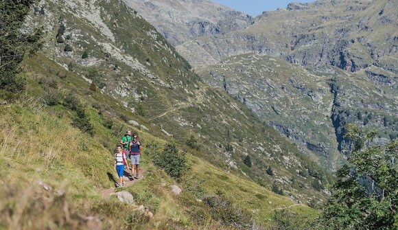 Geführte Gästewanderung: Planeiler Alm